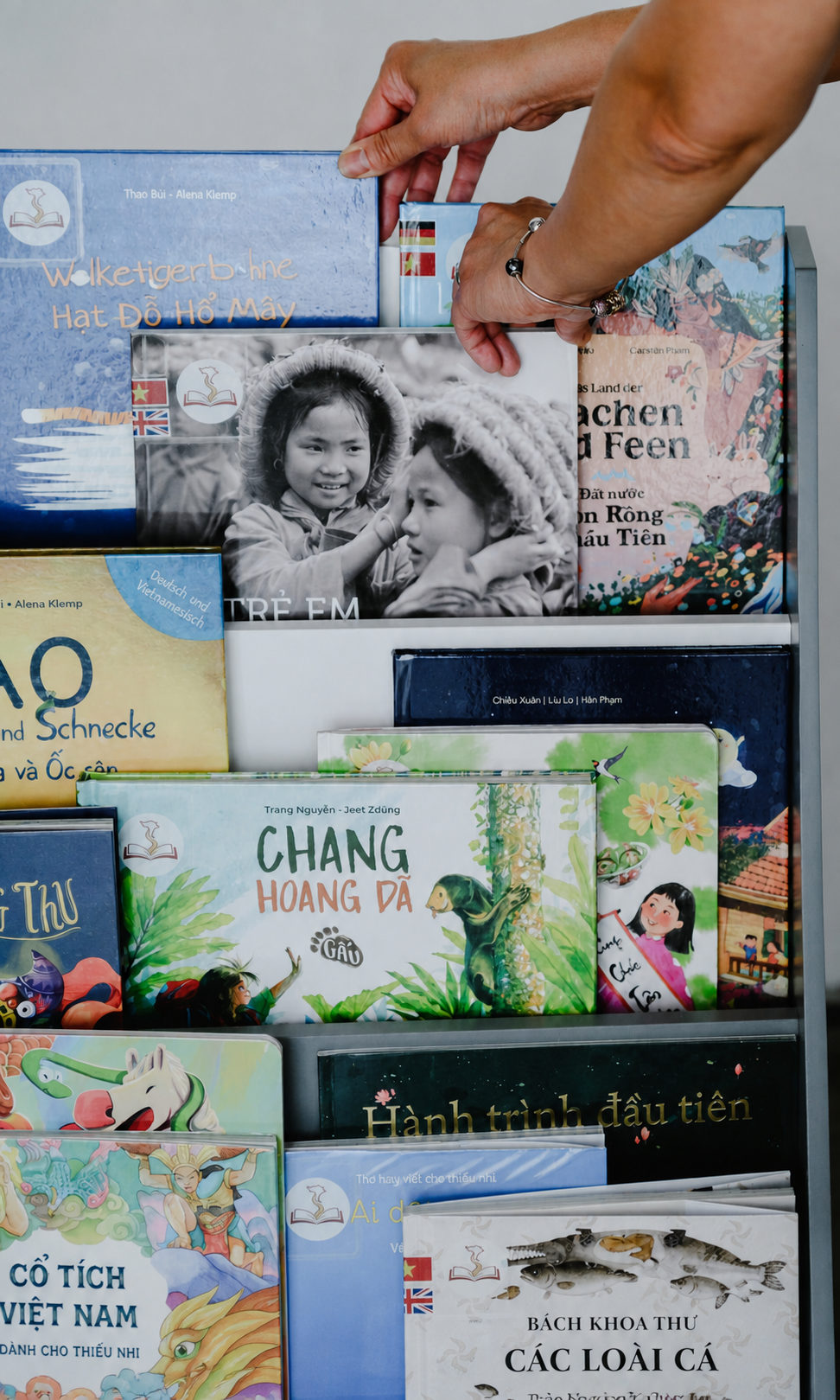 A hand placing a book in a Mãi Tò Mò book shelf